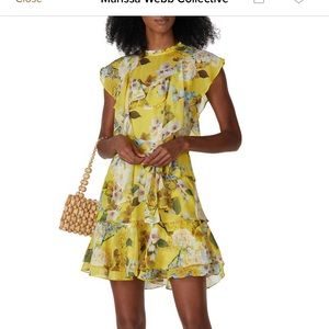 Marissa Webb Collective ruffle floral mini dress